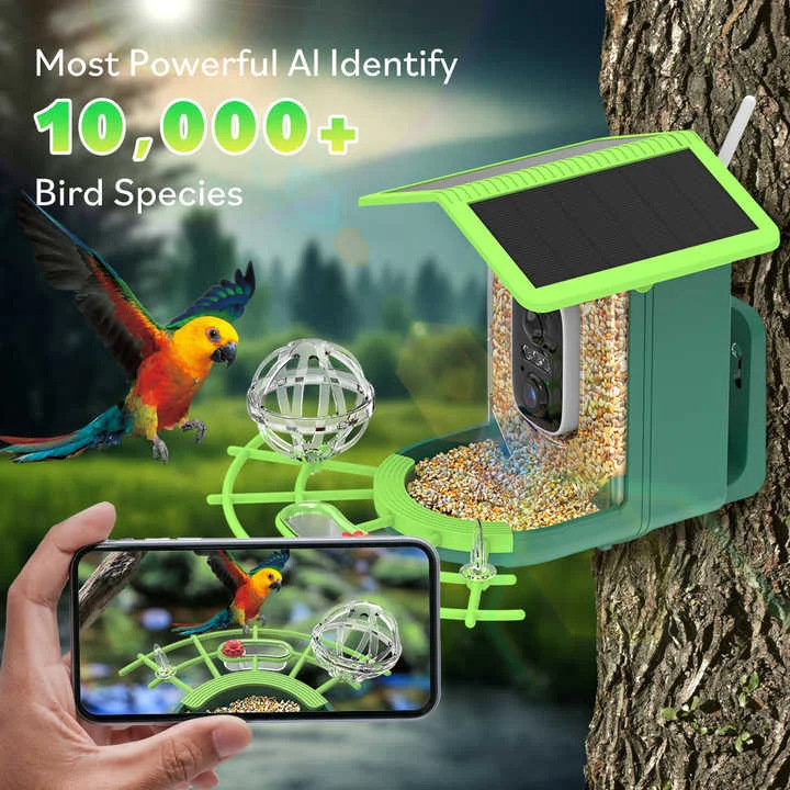 Smart Garden Ai - 스마트 AI 조류 급식기, 조류 식별