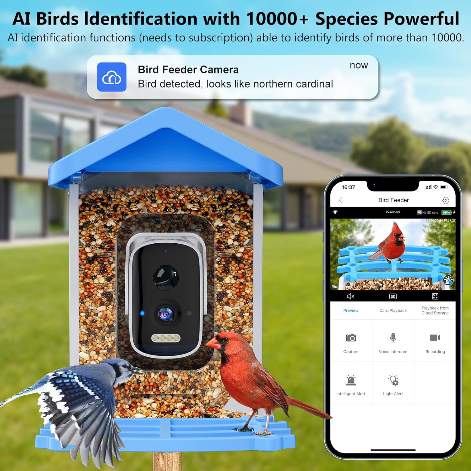 스마트 조류 관찰대(카메라 내장) AI 조류 종 식별  - Smart Garden Ai 리뷰 및 가격