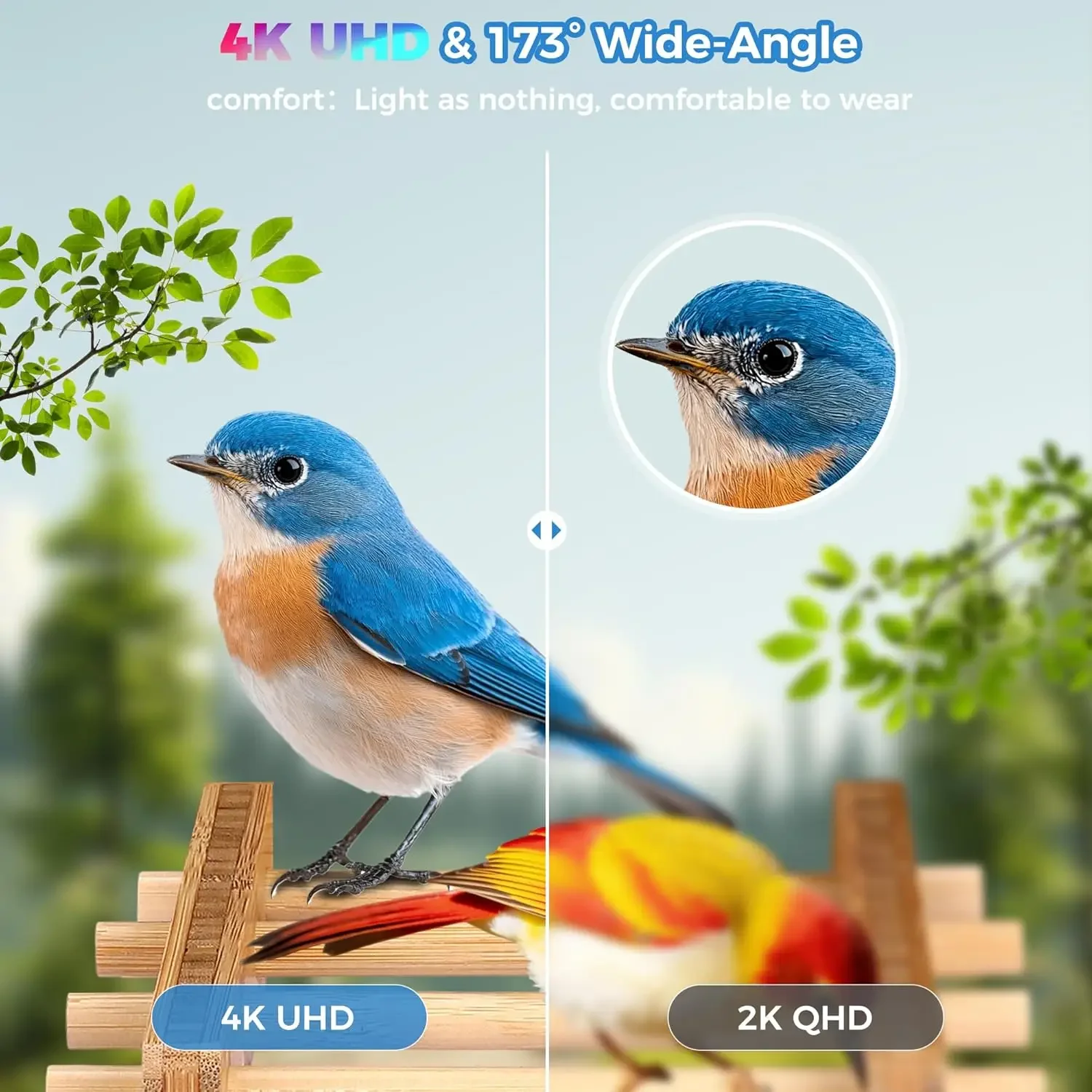 스마트 새 모이통 4K 카메라 AI 새 식별 기능 야외 - Smart Garden Ai 리뷰 및 가격