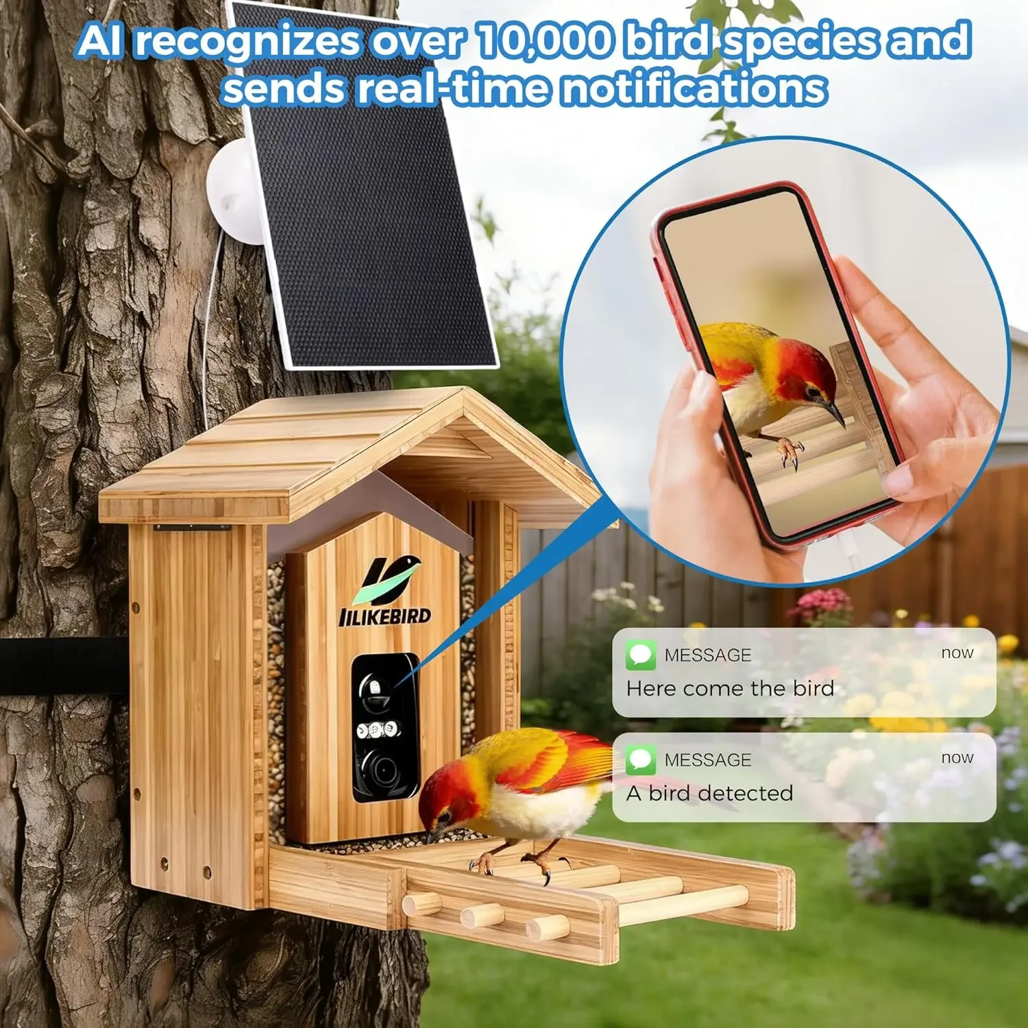 스마트 새 모이통 4K 카메라 AI 새 식별 기능 야외 - Smart Garden Ai 리뷰 및 가격