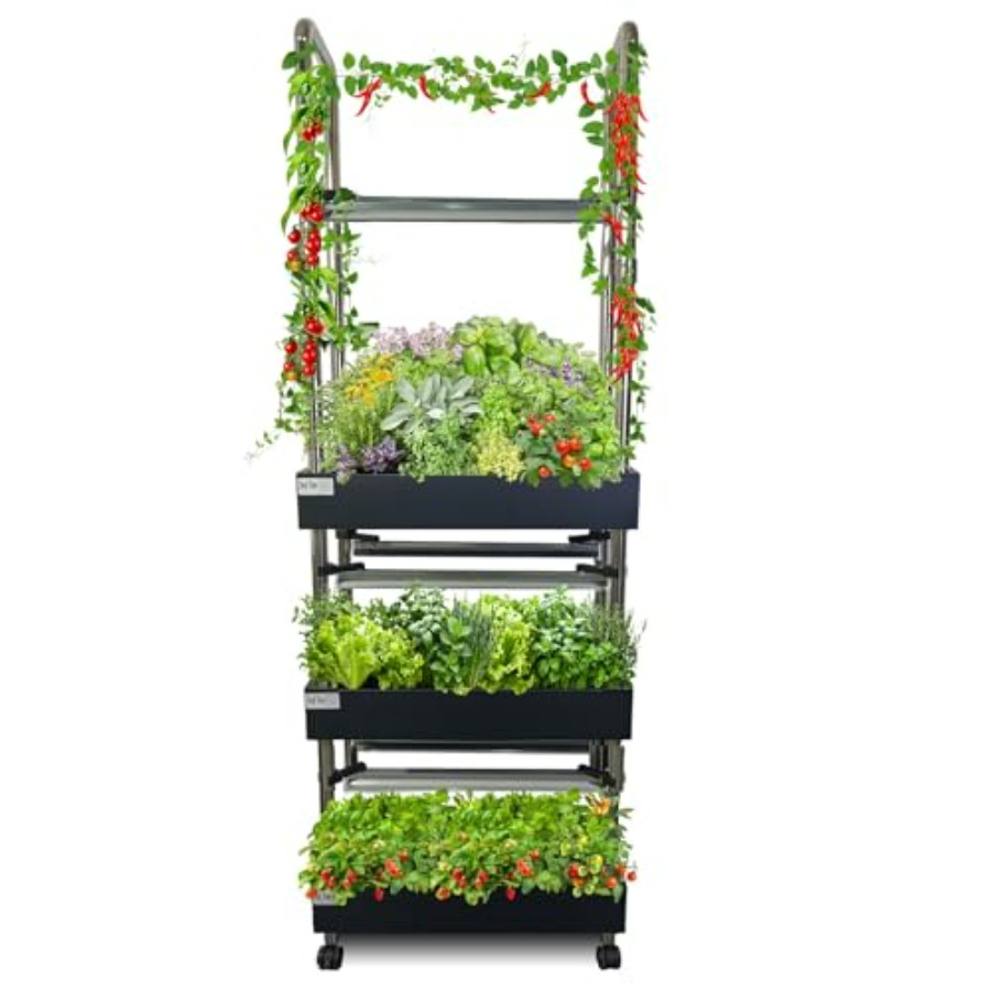 실내 수경재배 시스템: 스마트 풀스펙트럼 조명, 자동  - Smart Garden Water 리뷰 및 가격