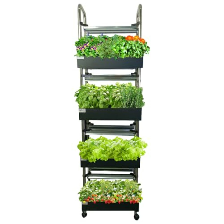 실내 수경재배 시스템: 스마트 풀스펙트럼 조명, 자동  - Smart Garden Water 리뷰 및 가격