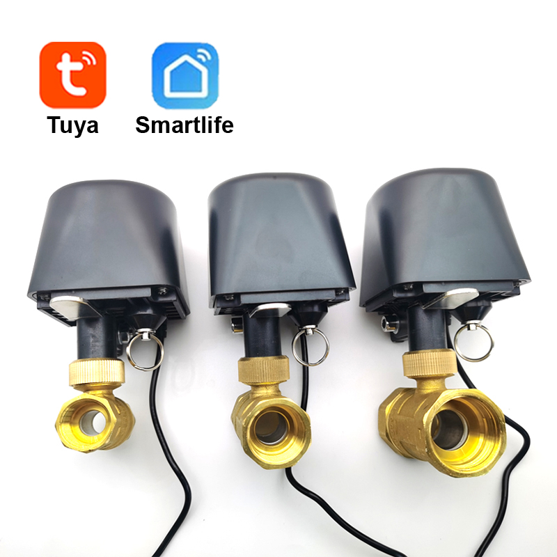 Tuya WiFi 또는 Zigbee 워터 밸브 차단 볼 - Smart Garden Water 리뷰 및 가격